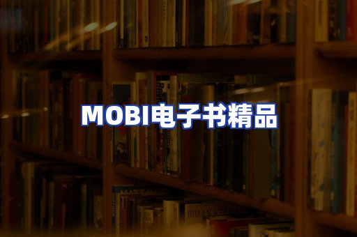 外文电子书产品